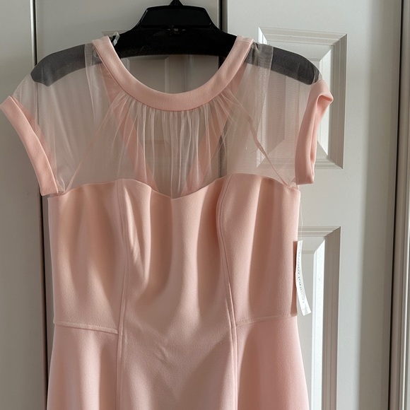 Maggy London Elegant blush Pink illusion sheath Dress - Picture 3 of 8